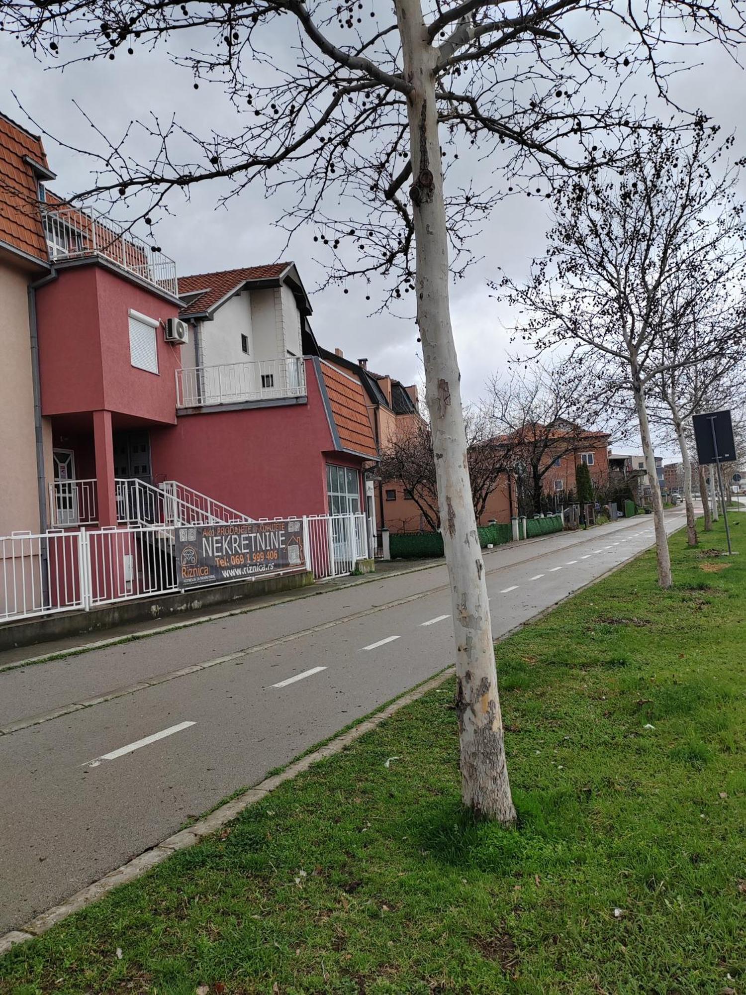Stojkovic